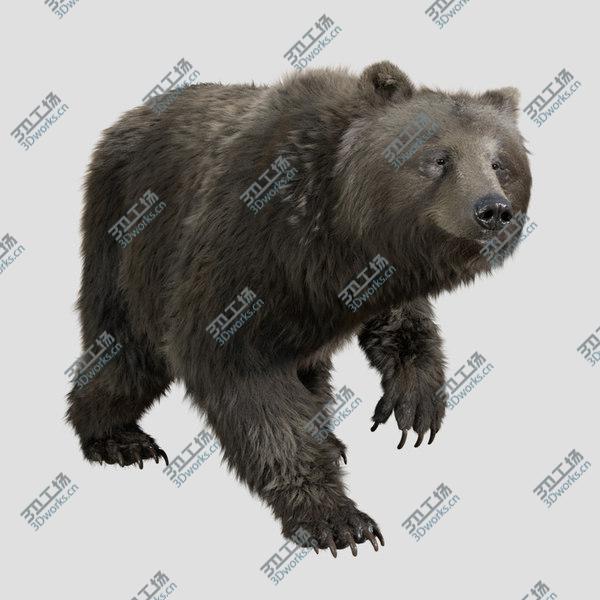 images/goods_img/20210312/3D bear FUR RIGGED ANIMATED/2.jpg